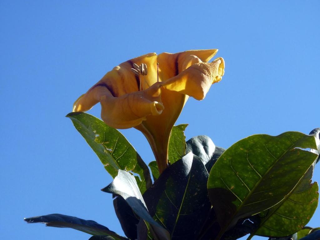 Sea Side Solandra Praiano Exterior foto